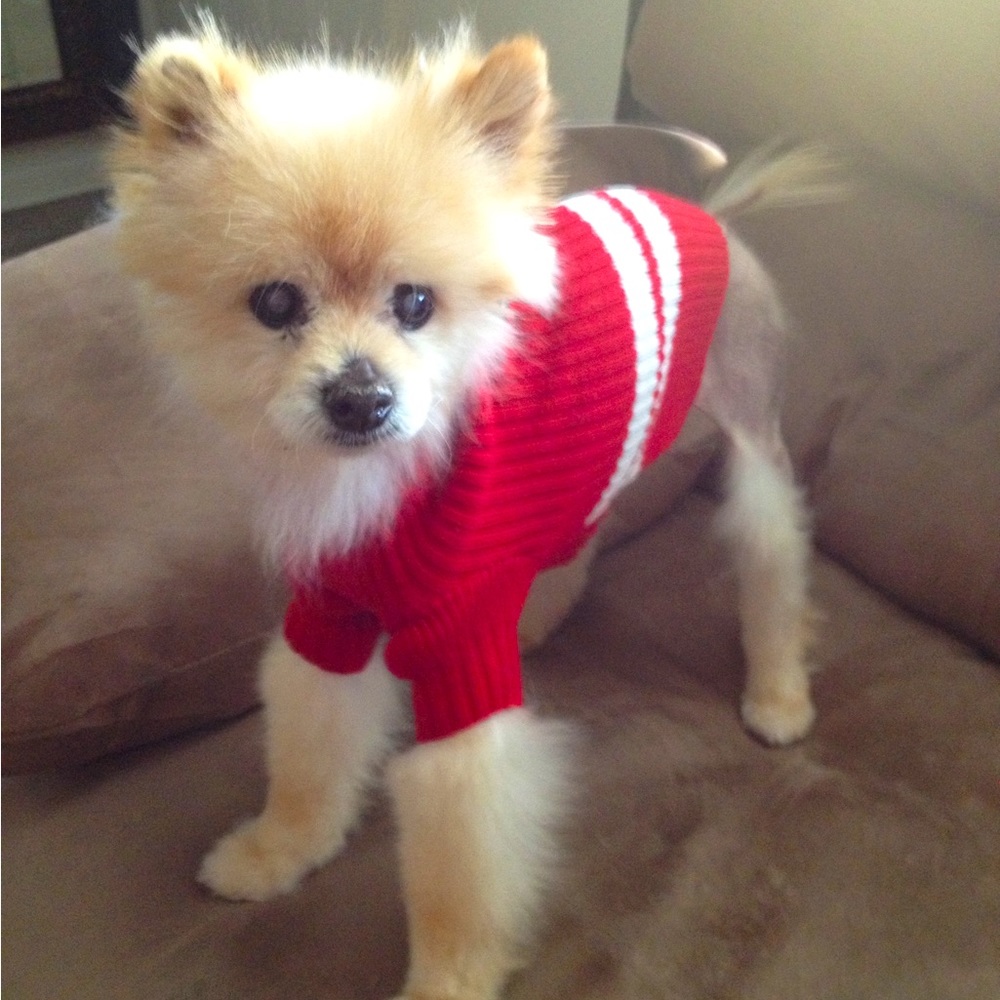 Meet your Posher, Candace